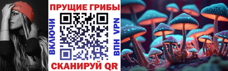 где можно купить наркотик  MEGA ТОР  Псилоцибиновые грибы Psilocybe  Александровское 